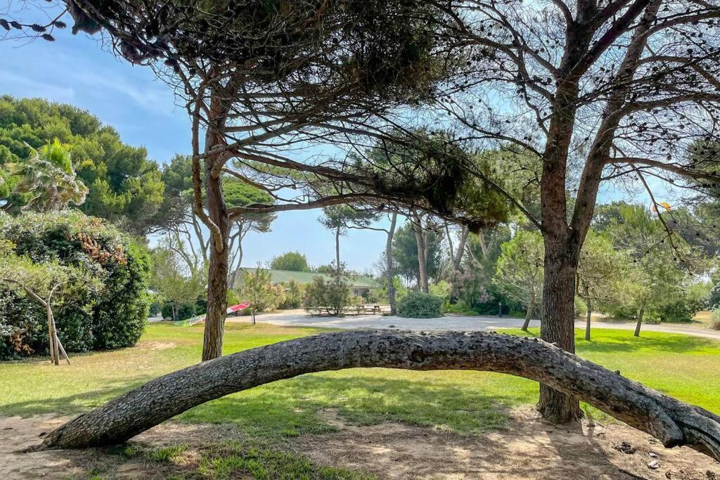 Appartement moderne en résidence privée face à la mer Hyères Esterno foto